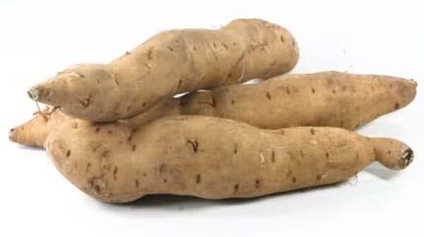 camote